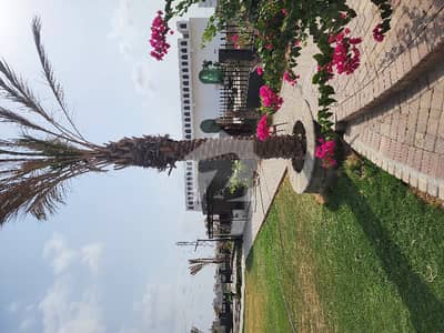 Radio Pakistan Cooperative Housing Society Scheme 33 Plot For Sale 240 Square Yards
