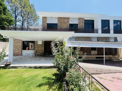 Luxury Renovated House