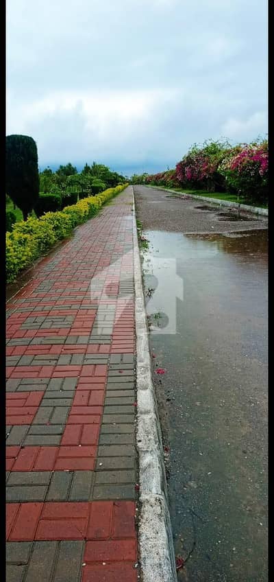 Kanal north open plot is available for sale in zone 4 Sector D3 Kanal north open plot is available for sale in zone 4 Sector D3