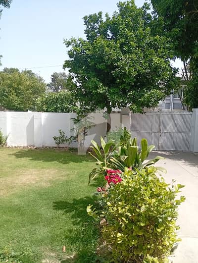 F6 House Available For Rent