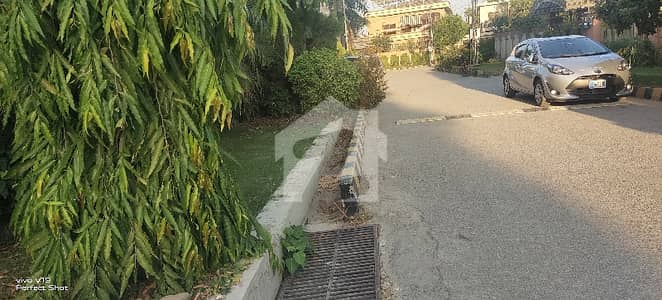 yah plot nihaayat hi khubsurat aur naye shami road per ha