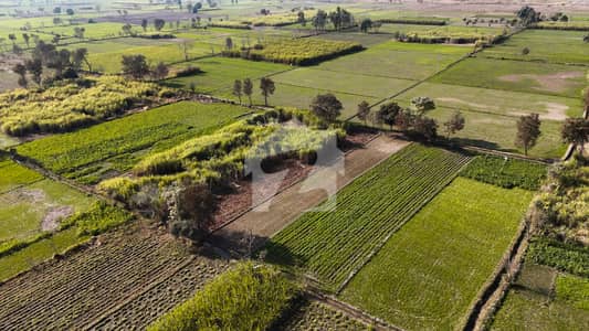 Rare Mega Land Deal! 50 Acres Near Jassoana Bangla Satiana to Jaranwala Road | Front Main Canal | Double Road | Best for Housing Society & Luxury Farmhouses