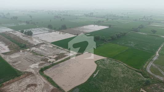 Prime 9 Kanal Corner Agricultural Land for Sale with 300 Feet Front - Canal Expressway to Link Jhumra to Shahkot Road Near 2 KM - Best for Petrol Pump