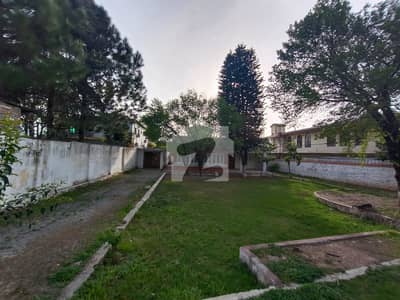 40 Marla Single Story House for Sale Jinnahabad