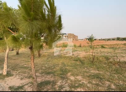 Gulberg Residencia Block J 1kanal Developed Possession Plot Available For Sale