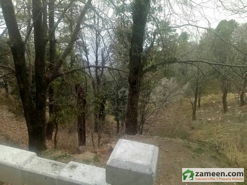 Residential Plot For Sale Near Pindi Point Chair Lift Perfect Location