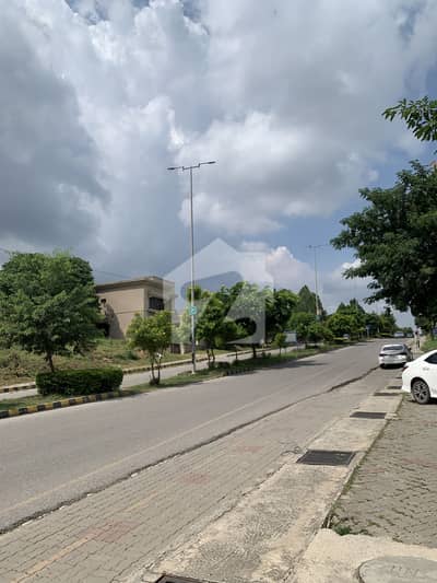 1 KANAL 100% Solid Plot For Sale 1 KANAL 100% Solid Plot For Sale