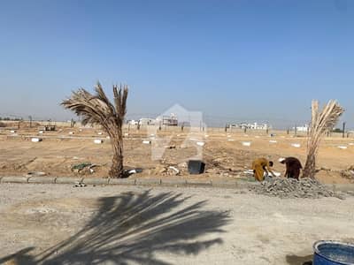 Prime Location: 120 Sq. Yards Plot for Sale in Radio Pakistan Society (Scheme 33) Prime Location: 120 Sq. Yards Plot for Sale in Radio Pakistan Society (Scheme 33)