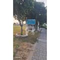 22 22