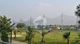 20 