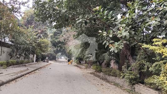 Sector G. 6/3 Top Location On Embassy Road Street Size 70*210 Direct Deal with owner