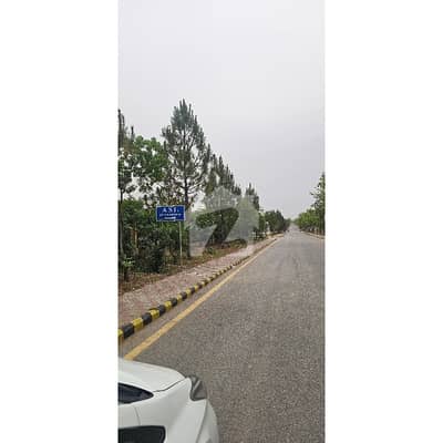Gulberg Grewns Block B Plot For Sale
