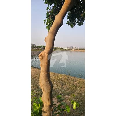 Gulberg Greens Block D Plot For Sale