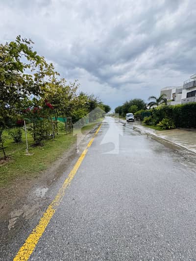 50x90 (1 Kanal) Top Location Plot For Sale In D-12/3