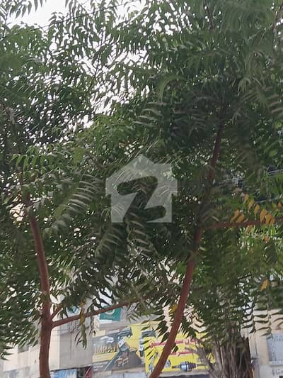 فیڈرل بی ایریا ۔ بلاک 14 فیڈرل بی ایریا,کراچی میں 1 کمرے کا 5 مرلہ مکان 3.25 کروڑ میں برائے فروخت۔