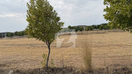 Prime Location Corner Plot For Sale Sector C3 Extension