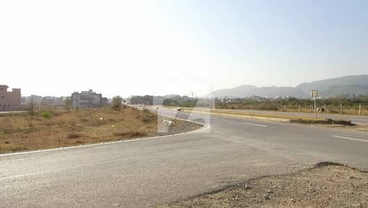 1000 Square Feet Residential Plot In D-12 For Sale At Good Location