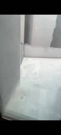 10 10