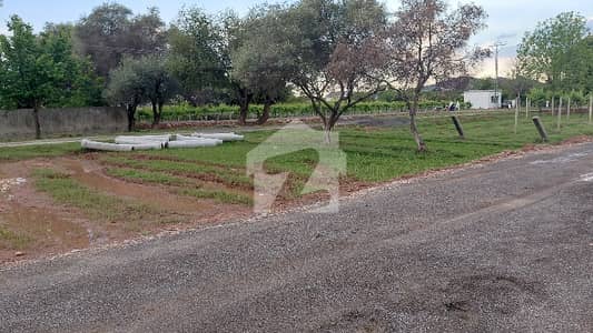 10 Marla Plot Available For Sale Nasser Bagh Barakahu Islamabad 10 Marla Plot Available For Sale Nasser Bagh Barakahu Islamabad