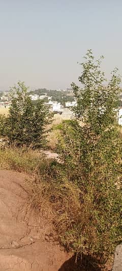 4 Kanal Land For Sale In Bani Gala Near Imran Kahan House