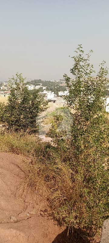 4 Kanal Land For Sale In Bani Gala Near Imran Kahan House