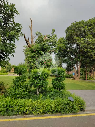 MODERN STUDIO APARTMENT FOR SALE IN SIGNATURE HEIGHTS   DREAM GARDENS LAHORE.