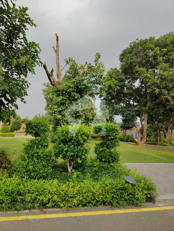 CORNER COMMERCIAL PLOT FOR SALE IN THE PRIME LOCATION OF DREAM GARDENS LAHORE. CORNER COMMERCIAL PLOT FOR SALE IN THE PRIME LOCATION OF DREAM GARDENS LAHORE.