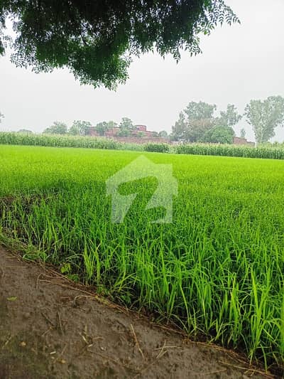 3 Kanal Land Available For Sale On Sheikhupura Road, Located In Midnian Wala Pind. A Perfect Option For Investors Looking For Future Growth And Steady Income. Demand: PKR 12,000,000 (1 Crore 20 Lac) Location: Main Sheikhupura Road 3 Kanal Land Available For Sale On Sheikhupura Road, Located In Midnian Wala Pind. A Perfect Option For Investors Looking For Future Growth And Steady Income. Demand: PKR 12,000,000 (1 Crore 20 Lac) Location: Main Sheikhupura Road