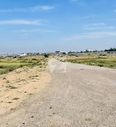 Park Face Plot Is Available For Sale