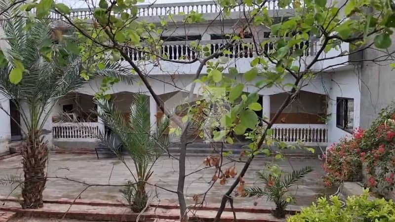 School + Cattle Farm Ready Setup For Sale School + Cattle Farm Ready Setup For Sale