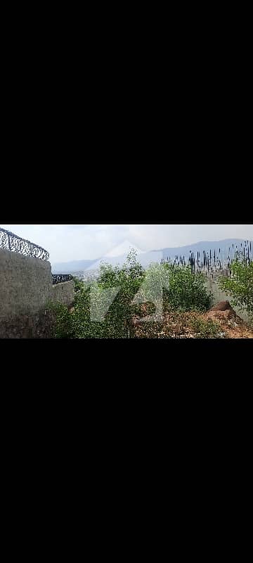 A very Beautiful top height location plot in banigala nearest khan residence