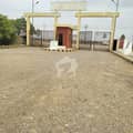 4 4