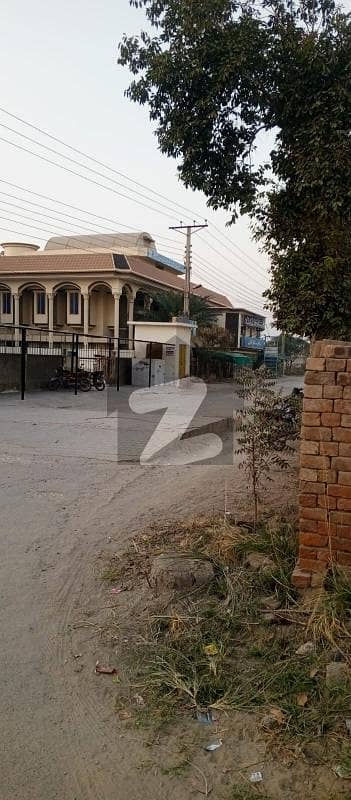 گلشنِ ناصر رحیم یار خان میں 5 مرلہ کمرشل پلاٹ 30.0 لاکھ میں برائے فروخت۔