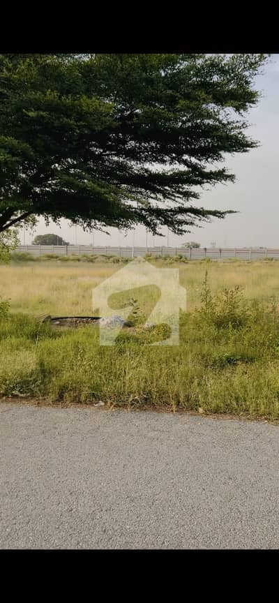 DHA Phase 8 IVY green DHA Phase 8 IVY green