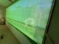 11 11