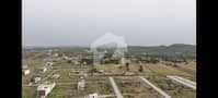 34 34