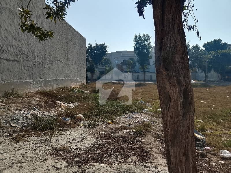 10 Marla Plot In Royal Palm City Sahiwal 10 Marla Plot In Royal Palm City Sahiwal