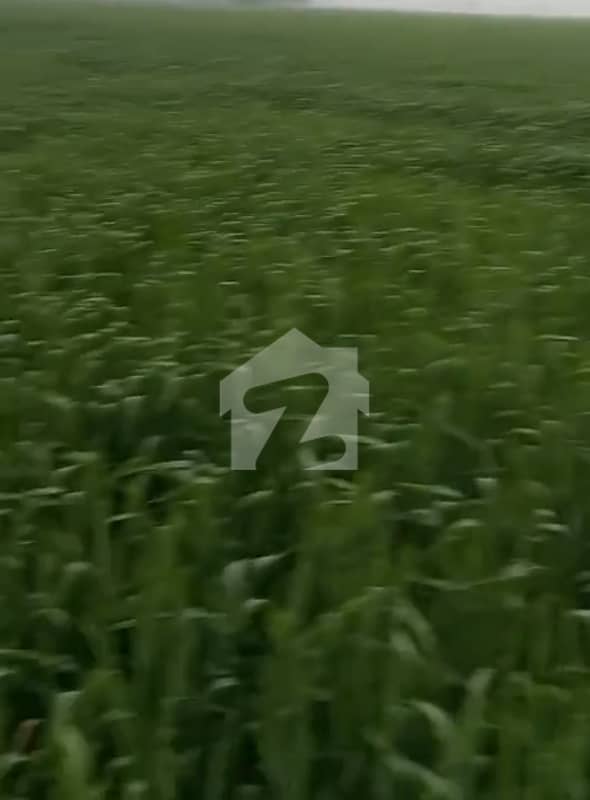 1 1