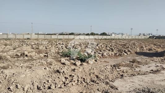 Corner 600 Square Yards Residential Plot In Central Gandhara Society For Sale