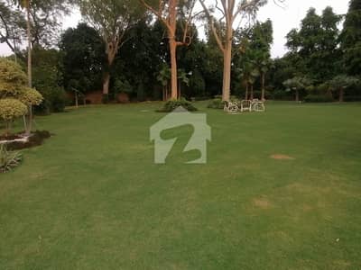 Plot For Sale
