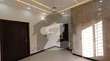 5 5
