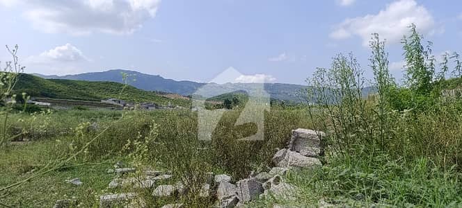 I Kanal Plot Available In D14 Islamabad