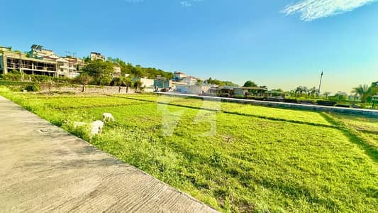 40x80 plot for sale