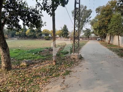 A Residential Plot At Affordable Price Awaits You