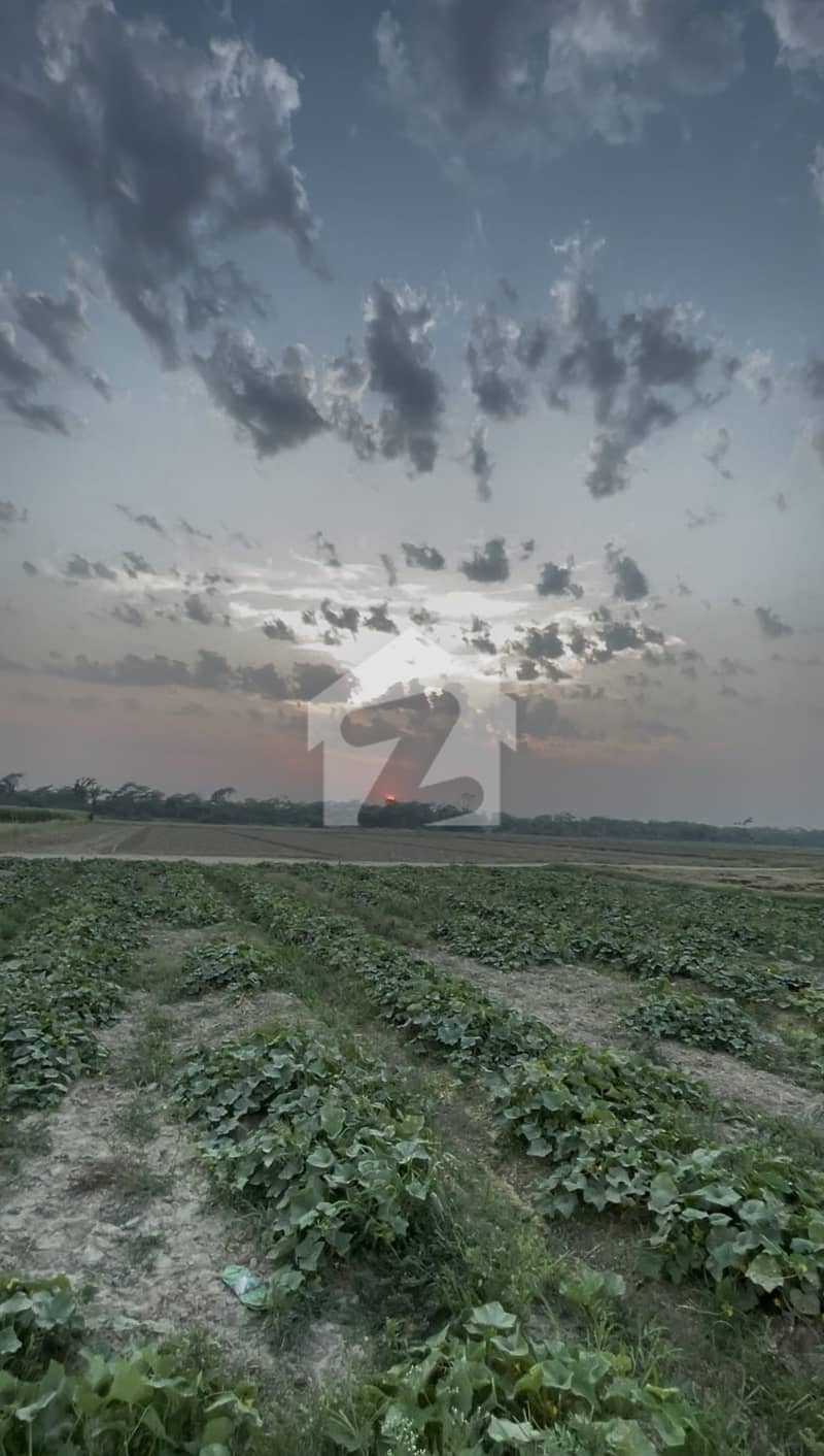 One Acre agricultural land One Acre agricultural land