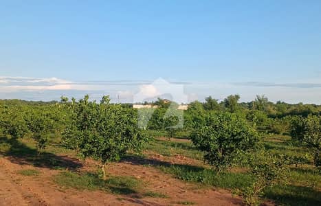 430 Kanal Agricultural Land for Sale In Jhand Attock