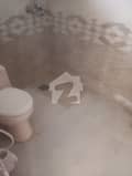 3 3