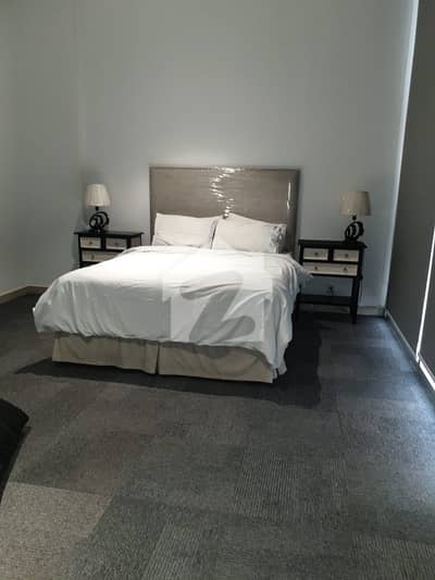 Brand New Furnished Apartment For Rent