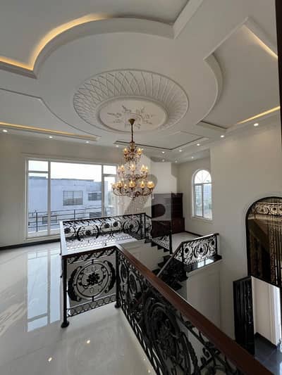 A Stunning Lower Portion Is Up For Grabs In Top City 1