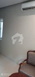 24 